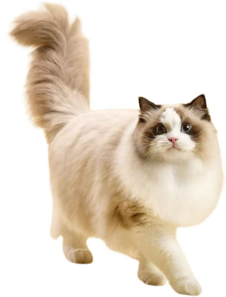 微信图片 20250910142508 515 2 微信图片 20250910142508 515 2